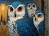 Blue Owls
