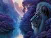 Lion on the Mind