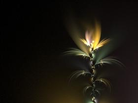 Nocturnal by onebadpenny