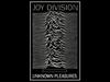 JoyDivision