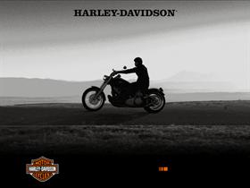 Harley heaven...