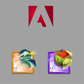 Adobe + Dimension & Streamline