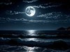 a bright moonlit night