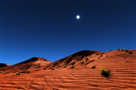 The Desert