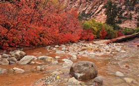 Clear Creek