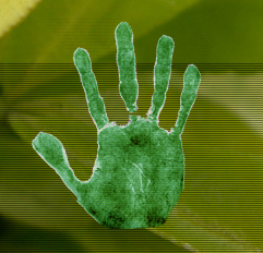 HandScan