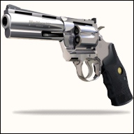 Magnum Gun