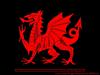 Cymru Red Dragon