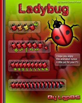 Ladybug