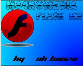 Flash MX icon