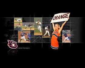 Auburn Baseball 07