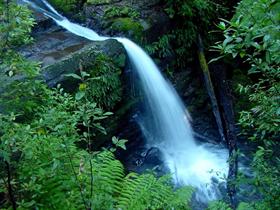 Middle Liffey Falls