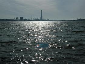 Dutch Industry