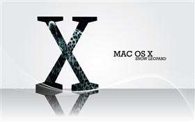 Mac OS X Snow Wired