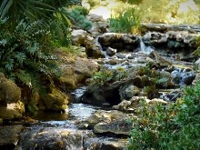 Natural Stream