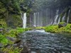 Gorgeous Japan Multi Falls