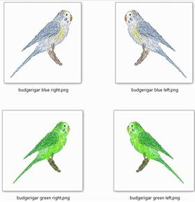 budgerigar icon