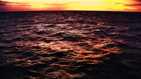 Deep Sea Sunset