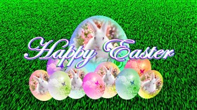 Easter Bunny Eggs Logon