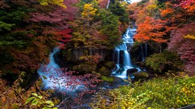 Fall Waterfall 4K