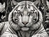 8K White Tiger