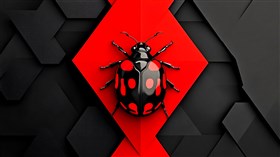 4K Ladybug