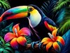 4KToucan 6