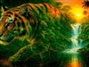 4K Tigers Jungle