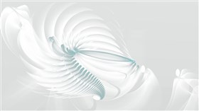 Shell abstract on glass