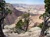 Grand Canyon South Rim