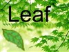 Leaf