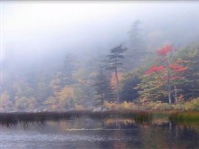 Foggy Autumn Lake