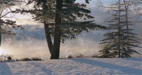 Canim Lake Winter