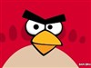 Angry Birds-Red 