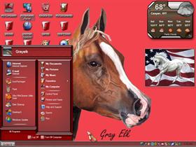 horse