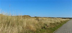 Dunes of Langeoog