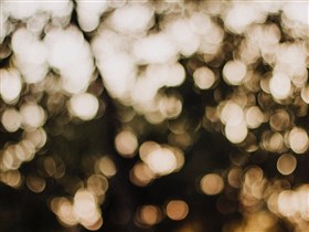 White Bokeh Background