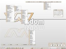 WisdomPeach-NS