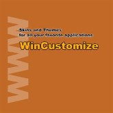Wincustomize Orange