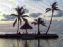 Paradise in Pastel