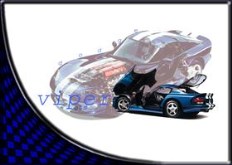 ViperGTS