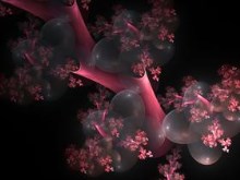 Cherry Blossoms by n8iveattitude1