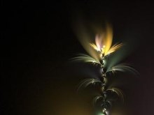 Nocturnal by onebadpenny