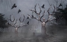 Evil Forest ~Halloween