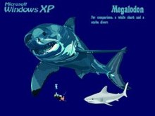 Megalodon