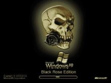 Black Rose Skull