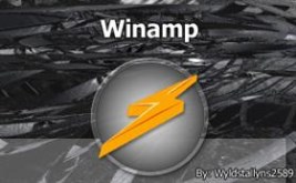 Winamp Icon