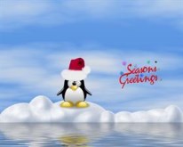 Seasons Greetings