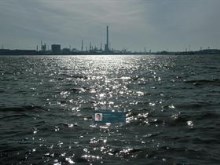 Dutch Industry