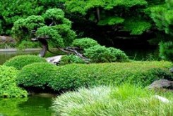 Serenity